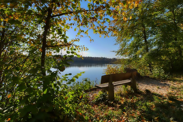 在队中的重 在队中的重