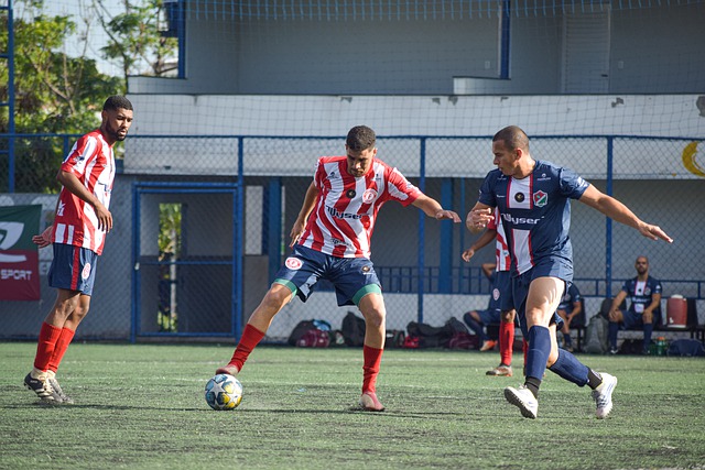 战灰熊队 战灰熊队